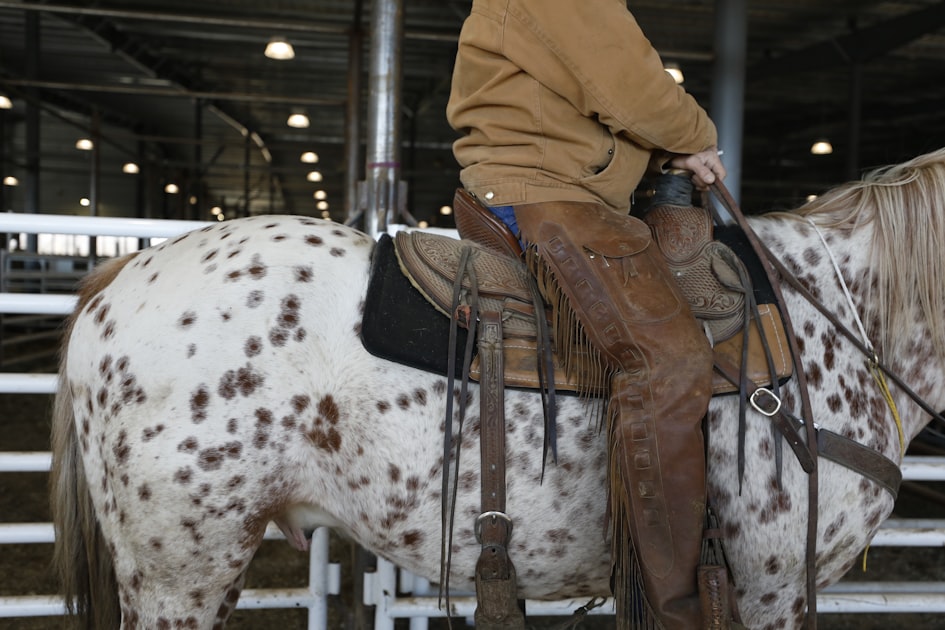 Understanding Equestrian Physio